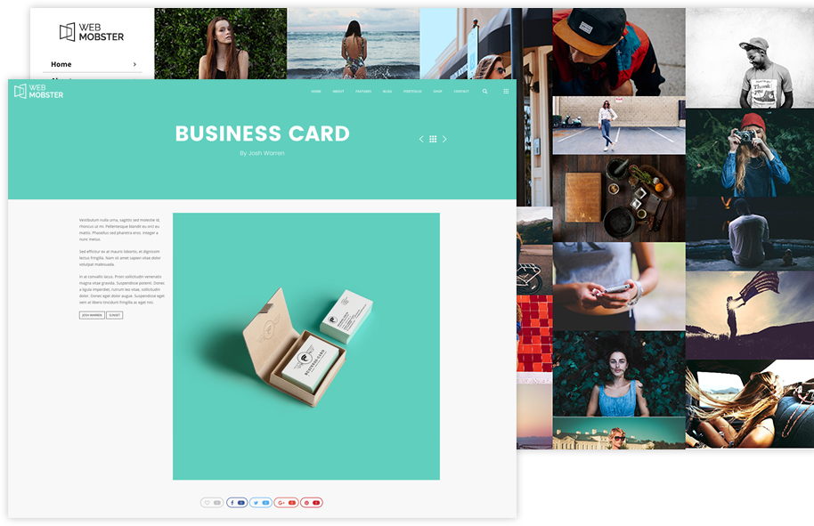 portfolio